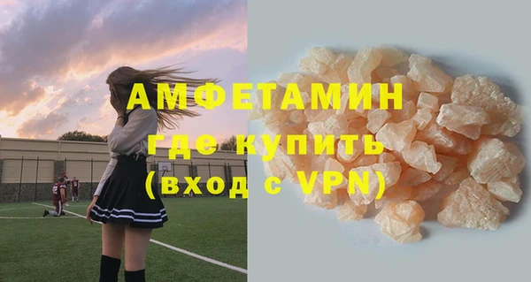 ГАЛЛЮЦИНОГЕННЫЕ ГРИБЫ Козловка