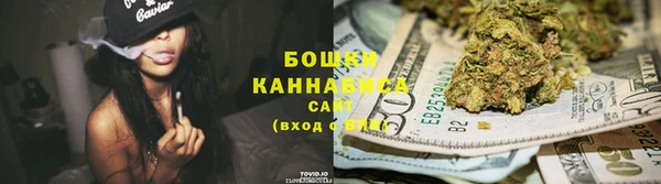 ГАЛЛЮЦИНОГЕННЫЕ ГРИБЫ Козловка
