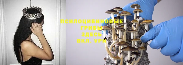 a pvp Киреевск