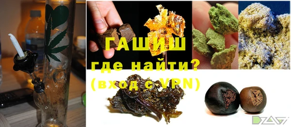 ГАЛЛЮЦИНОГЕННЫЕ ГРИБЫ Козловка