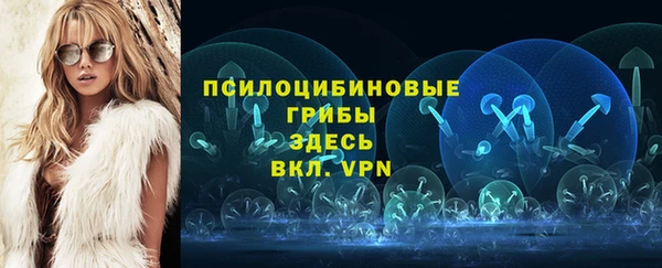 apvp Калининец