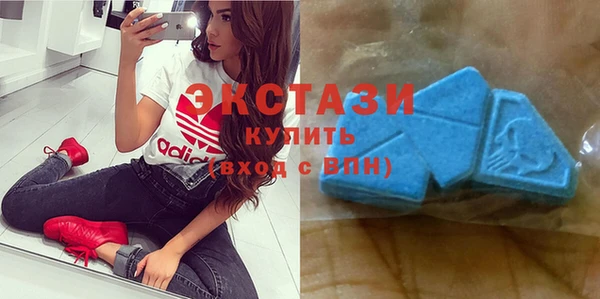 ГАЛЛЮЦИНОГЕННЫЕ ГРИБЫ Козловка