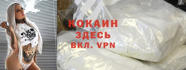 ГАЛЛЮЦИНОГЕННЫЕ ГРИБЫ Козловка